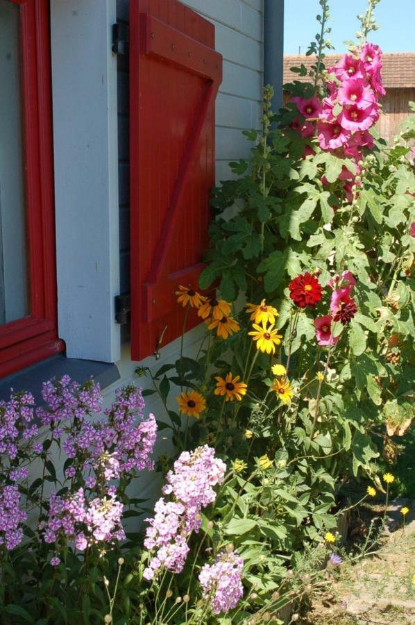 B&B La Maison Des Collines Autour Chambres D'Hotes La Chapelle  ภายนอก รูปภาพ
